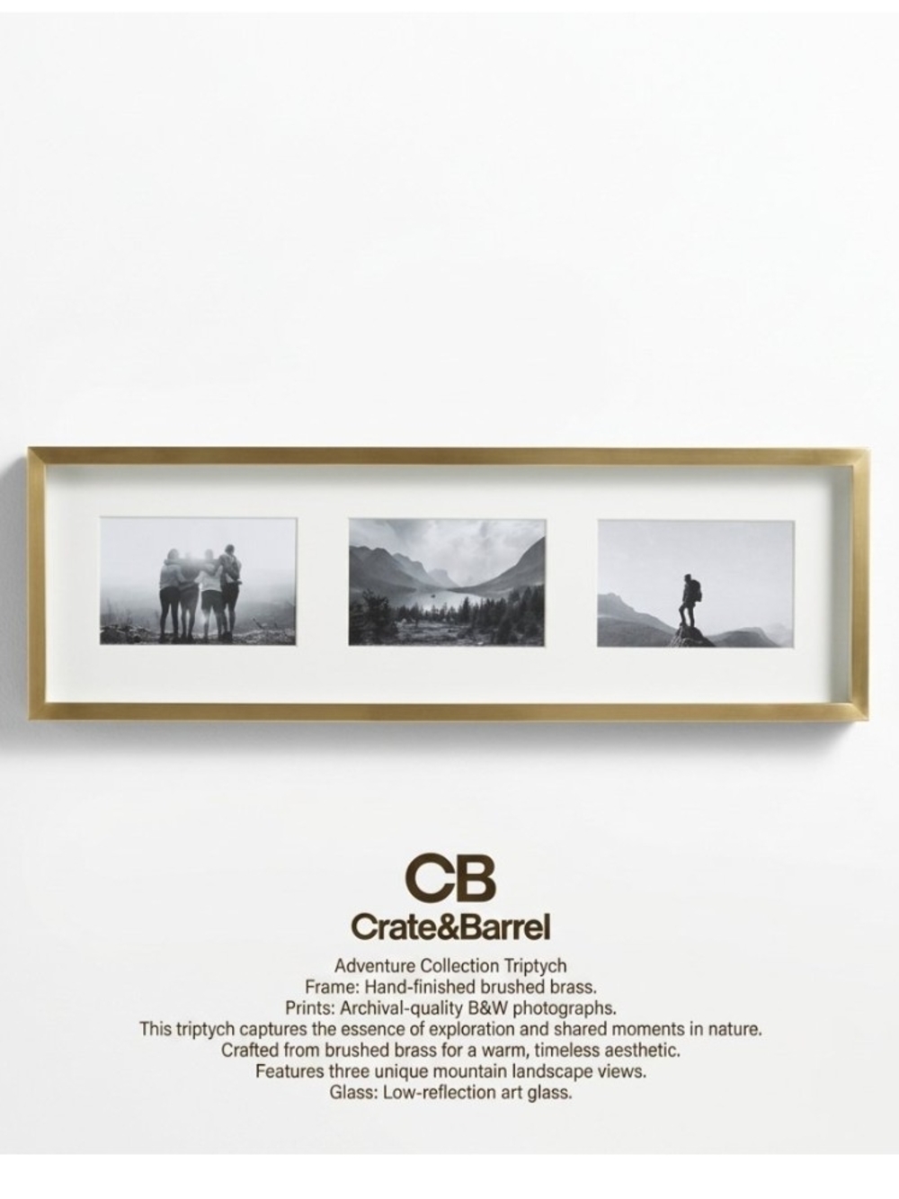 Crate&Barrel Adventure Collection Brushed Brass Trio Frame - Gold